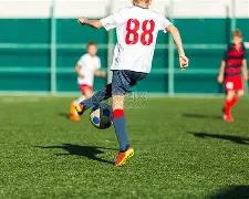 狗子,官网平台,资讯,狗子28(中国)官方网站,狗子28H5官方网站,狗子28大舞台,狗子28官网平台