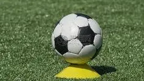 狗子28官网平台 资讯 100646 zhc