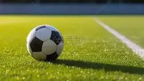 狗子28官网平台 资讯 100820 113